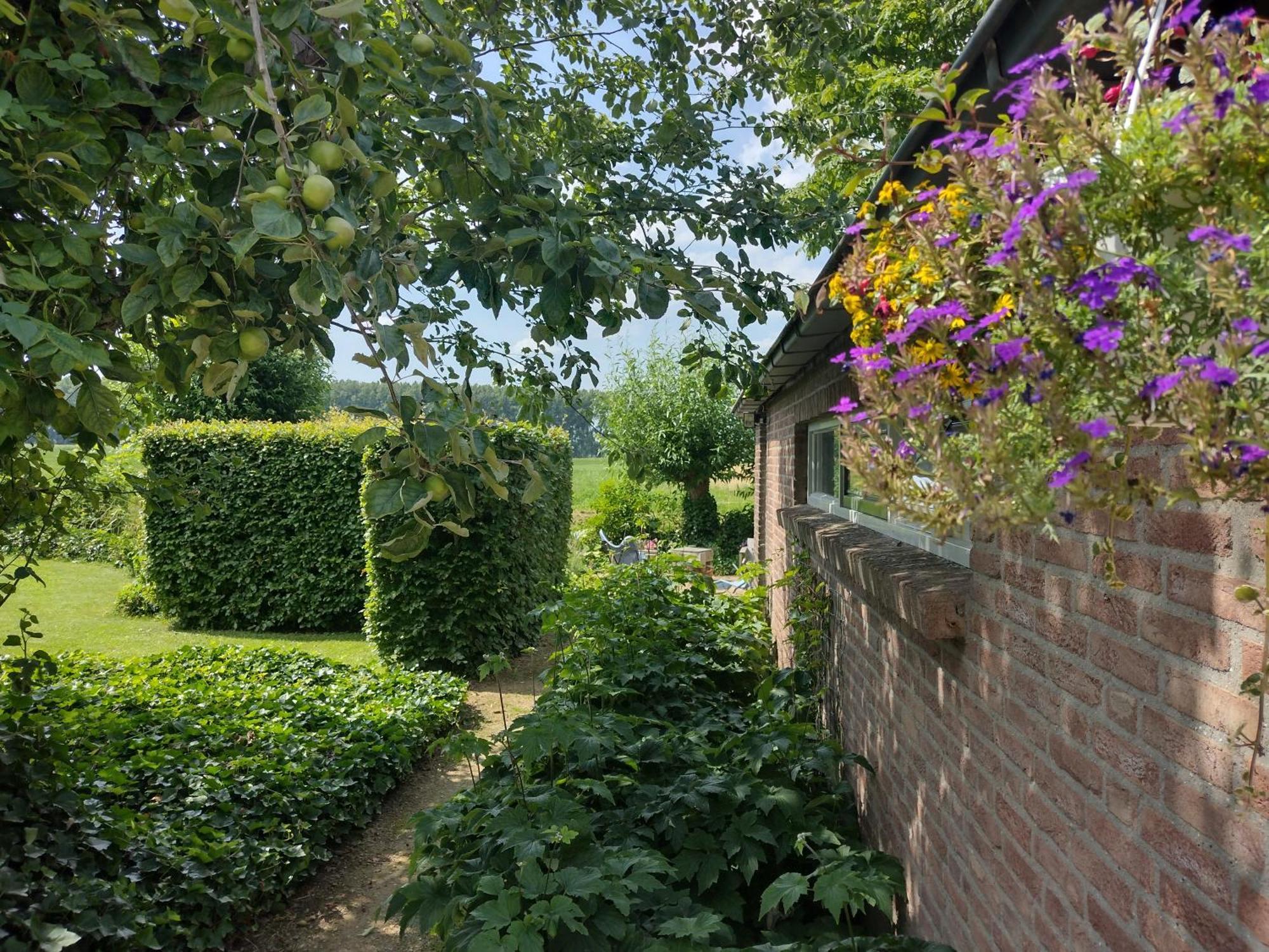 Holiday Cottage De Garage Inn Hank Εξωτερικό φωτογραφία