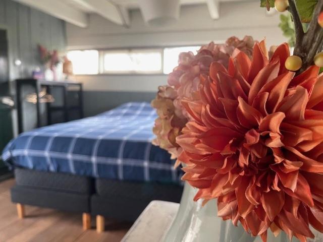 Holiday Cottage De Garage Inn Hank Εξωτερικό φωτογραφία